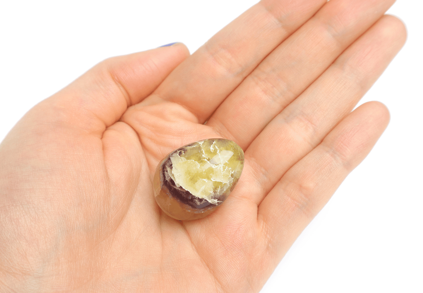 Handsten septarian